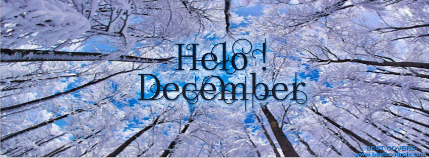 Ảnh bìa facebook chào tháng 12 - Hello December, ảnh 21