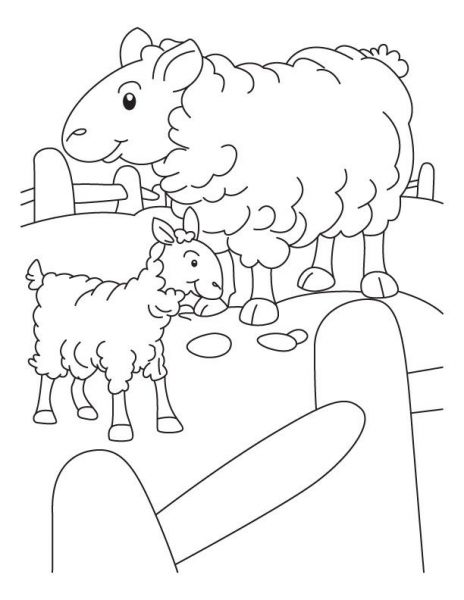 Tranh tô màu 2 con cừu trong chuồng