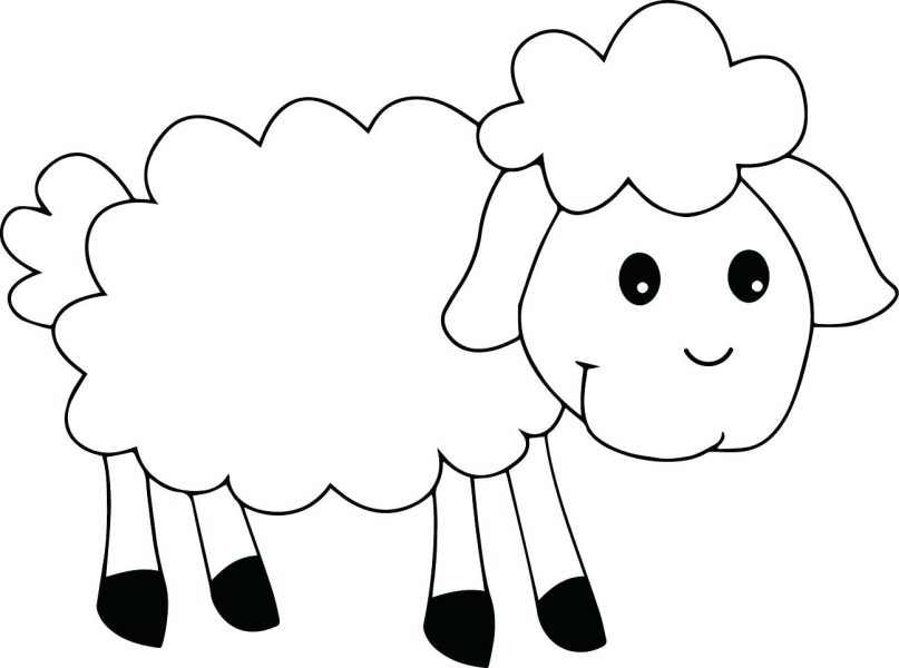 Draw and Coloring sheep  Tập vẽ và tô màu con cừu  YouTube