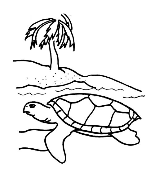 Tranh tô màu con rùa và biển