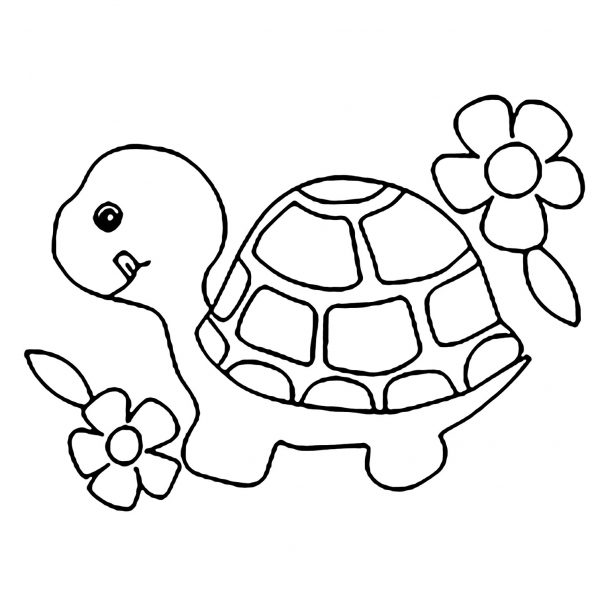 Tranh tô màu con rùa và bông hoa