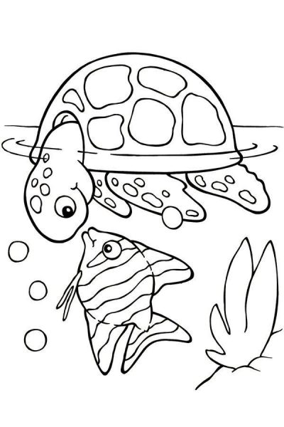 Tranh tô màu con rùa và cá