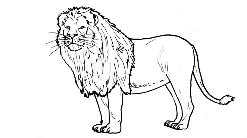 Tranh vẽ sư tử