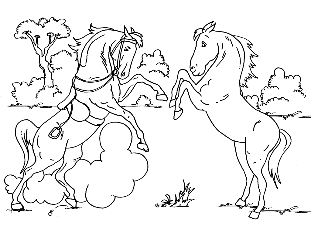 Coloring page baby horse