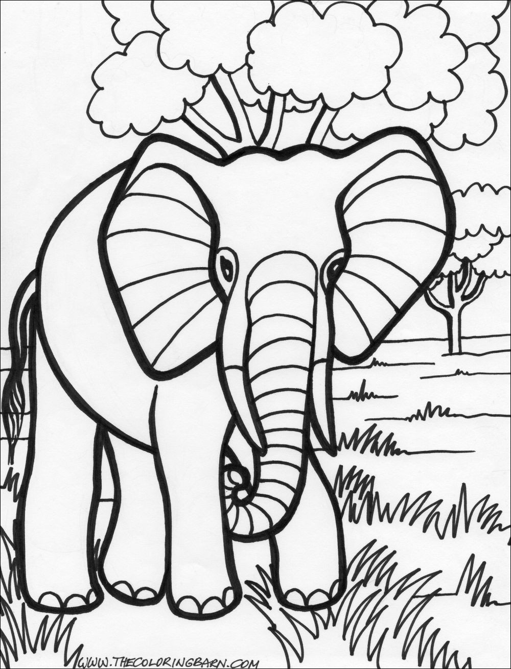 Hình ảnh chú voi đi dạo trên đồng - tranh tô màu