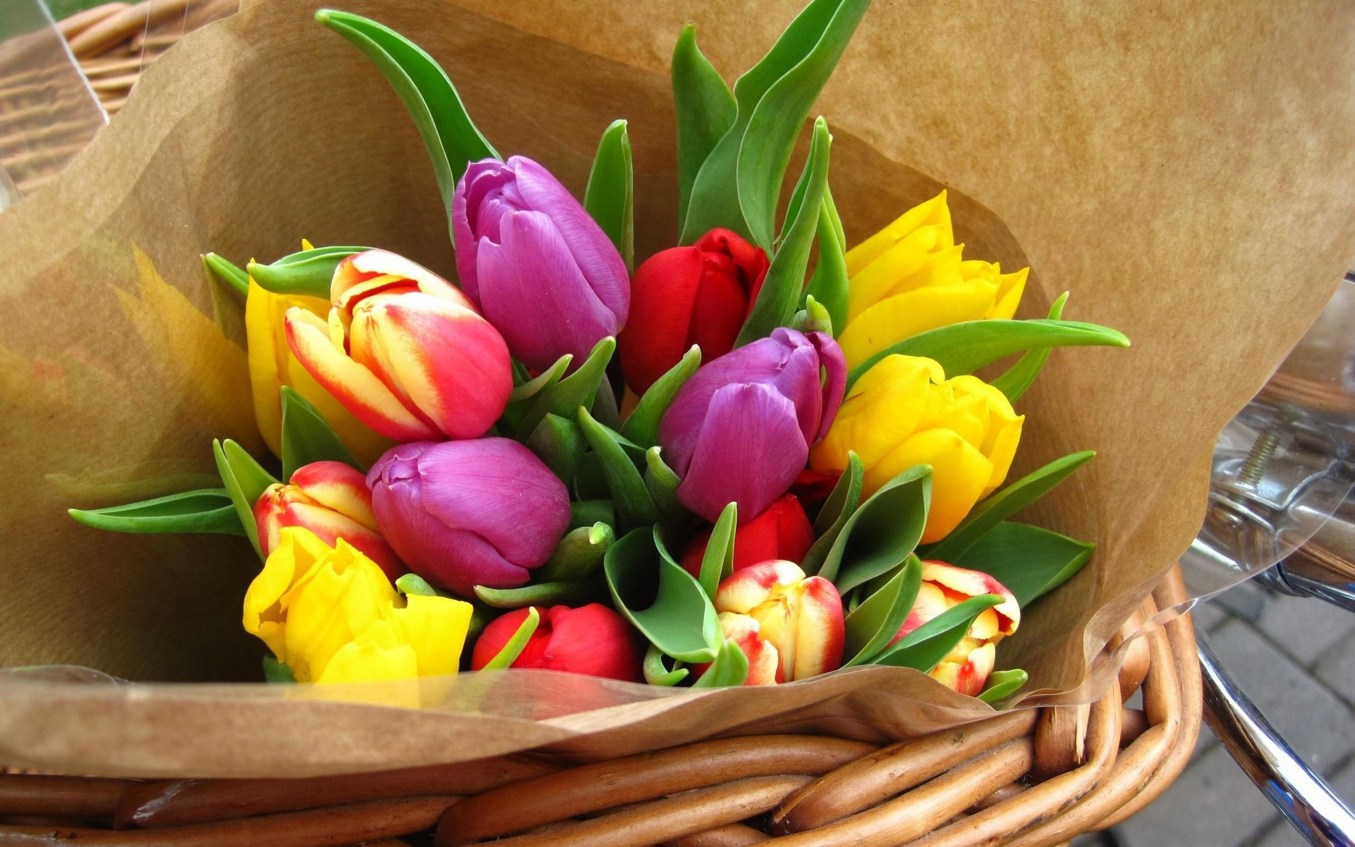 Giải thích giấc mơ: hoa tulip - tại sao lại mơ